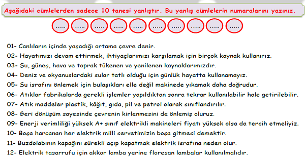 4.Sınıf Fen Bilimleri İnsan ve Çevre Ünitesi Doğru-Yanlış Etkinliği