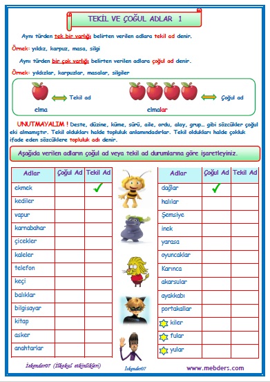 1.Sınıf Türkçe Tekil ve Çoğul Adlar  1
