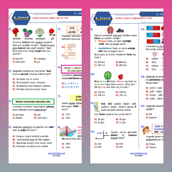 4. Sınıf Haftalık Değerlendirme Testi - 15. Hafta