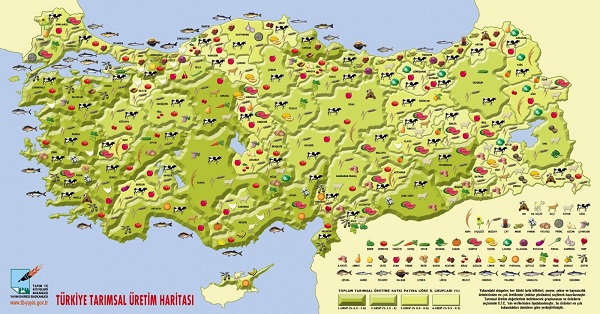 Türkiye Tarım Haritası