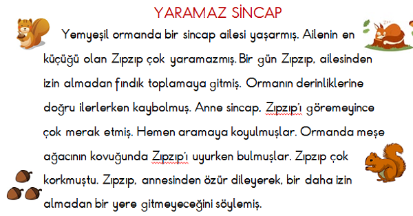 1.Sınıf Türkçe Yaramaz Sincap Okuma ve Anlama Etkinliği