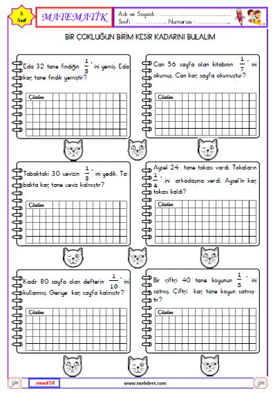 3. Sınıf Matematik Kesirler Etkinliği 13