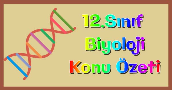 12.Sınıf Biyoloji Kemosentez Konu özeti