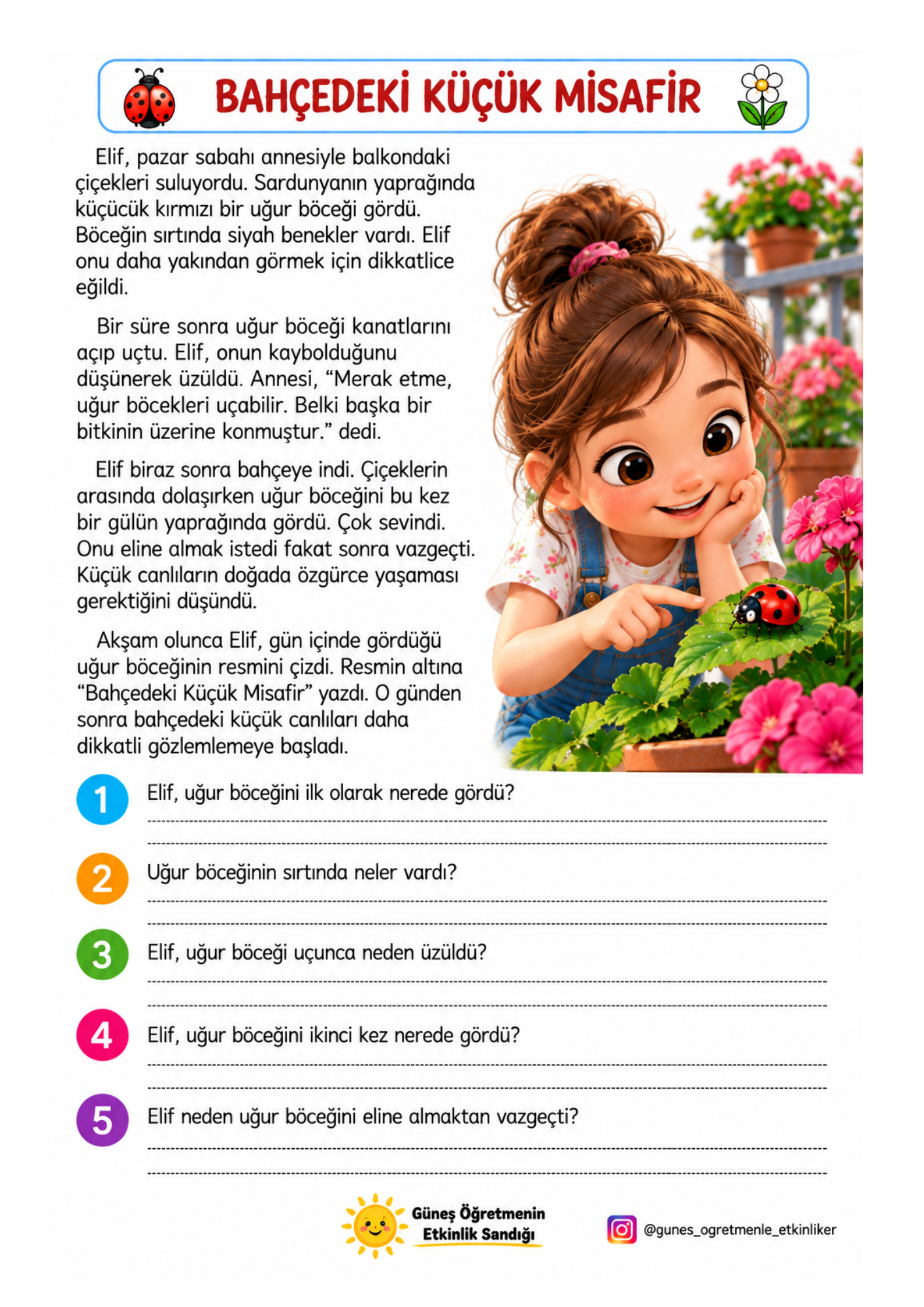2.Sınıf Türkçe Okuma Anlama Metinleri