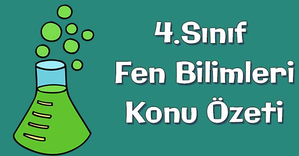 4.Sınıf Fen Bilimleri Sağlıklı Yaşam Konu özeti