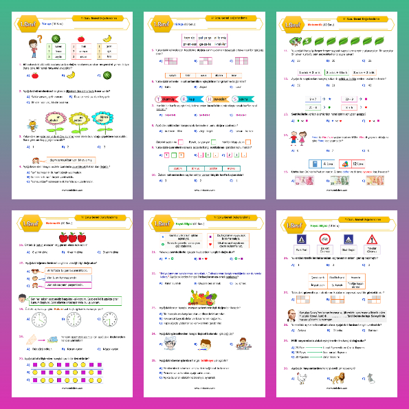 1. Sınıf Yıl Sonu Denemesi (PDF)