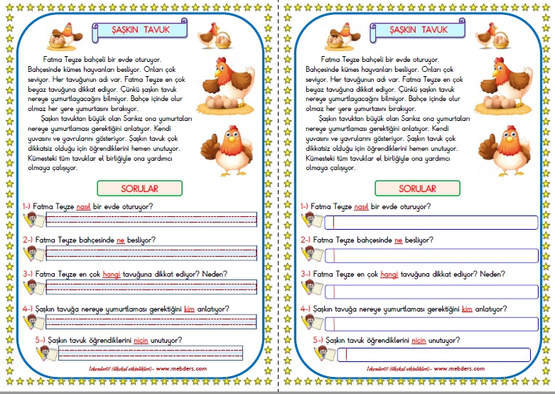 1.Sınıf Türkçe Şaşkın Tavuk Okuma Anlama Metin Çalışması  26