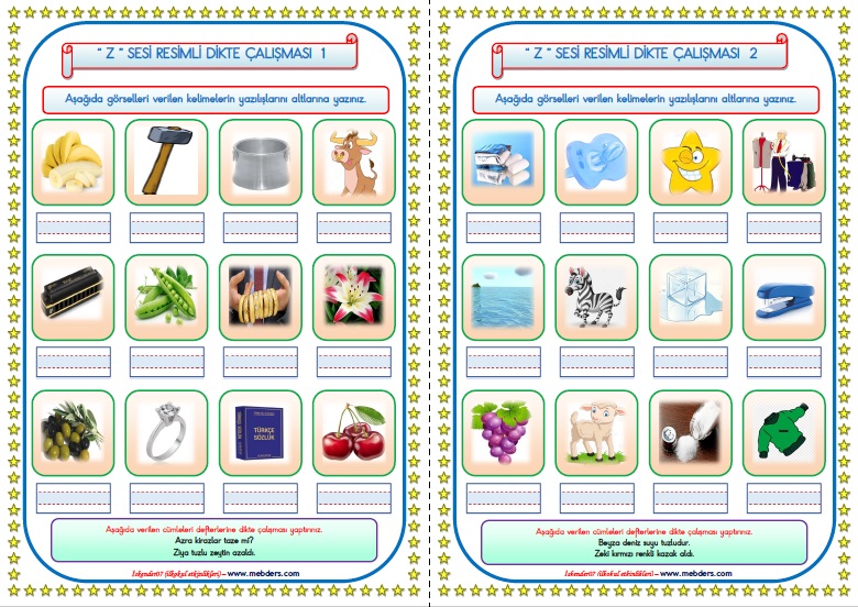 1.Sınıf Z-z Sesi Resimli Dikte Çalışması  (2 Sayfa)