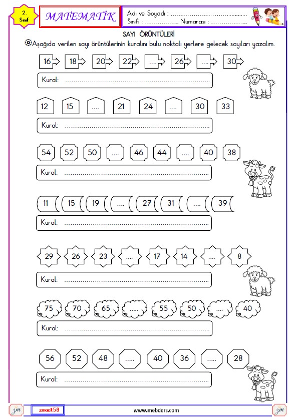 2. Sınıf Matematik Sayı Örüntüleri Etkinliği 1