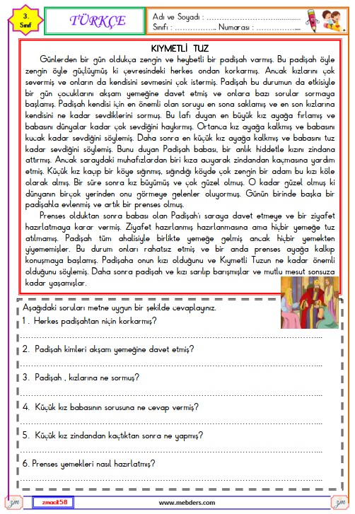 3. Sınıf Türkçe Okuma ve Anlama Metni Etkinliği ( Kıymetli Tuz )