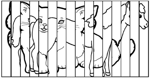 Boya Katla Etkinliği (Agamograf) 20