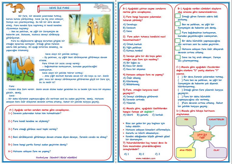 3.Sınıf Türkçe Deve ile Fare Okuma Anlama Metin Çalışması  5