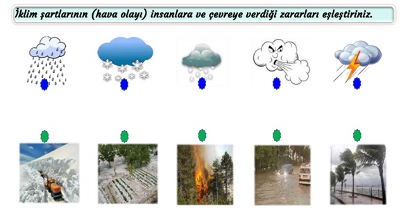 2.Sınıf Hayat Bilgisi Çevre Şartları Etkinliği