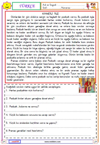 3. Sınıf Türkçe Okuma ve Anlama Metni Etkinliği (Kıymetli Tuz)