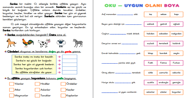 1.Sınıf Türkçe Oku-Anla-Boya-Yaz Etkinliği - 3