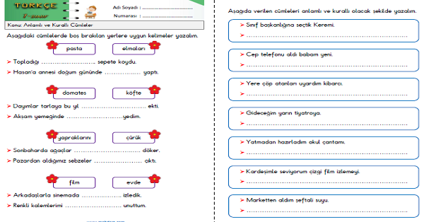 1. Sınıf Türkçe Anlamlı ve Kurallı Cümle Oluşturalım Etkinlik Çalışmaları