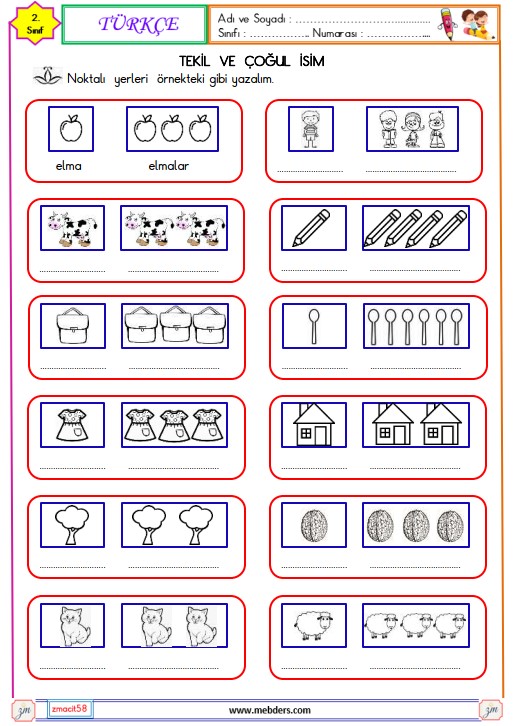 2. Sınıf Türkçe Çoğul İsim Etkinliği