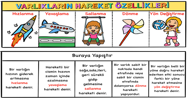 3. Sınıf Fen Bilimleri Varlıkların Hareket Özellikleri İnteraktif Defter Etkinliği 2