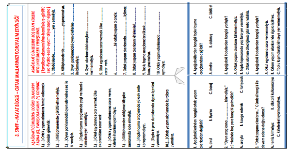 3.Sınıf Hayat Bilgisi Ortak Mallarımızı Koruyalım Etkinliği