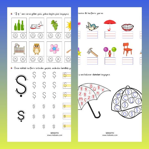 1. Sınıf İlkokuma Yazma - Ş Sesi Etkinliği - 1