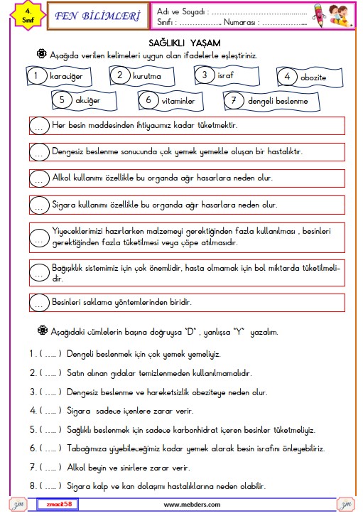 4. Sınıf Fen Bilimleri Sağlıklı Yaşam Etkinliği