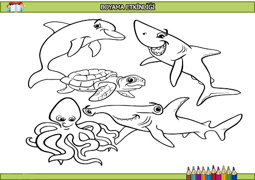 Deniz hayvanları boyama etkinliği
