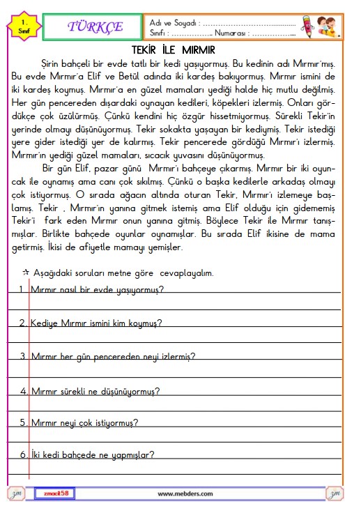 1. Sınıf Türkçe Okuma ve Anlama Metni Etkinliği (Tekir ve Mırmır)