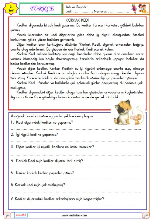 3. Sınıf Türkçe Okuma ve Anlama Metni Etkinliği (Korkak Kedi)