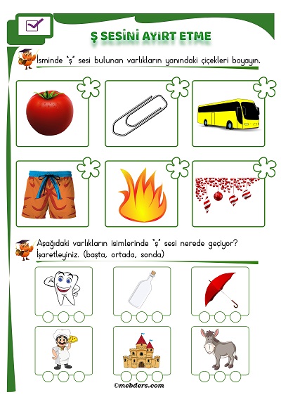 1.Sınıf İlkokuma Ş Sesi Ayırt Etme Etkinliği