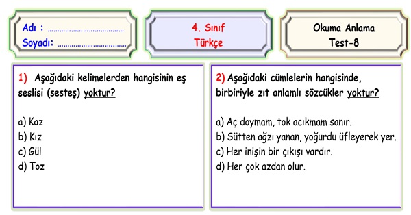 4.Sınıf Türkçe Okuma Anlama Sene Sonu Değerlendirme Testi 8