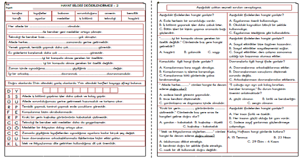 3.Sınıf Hayat Bilgisi Değerlendirmesi-2