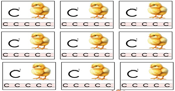 1. Sınıf İlk Okuma Yazma C Sesi Deftere Yapıştırma