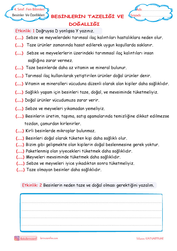 4. Sınıf Fen Bilimleri Besinlerin Doğallığı ve Tazeliği Etkinlikleri