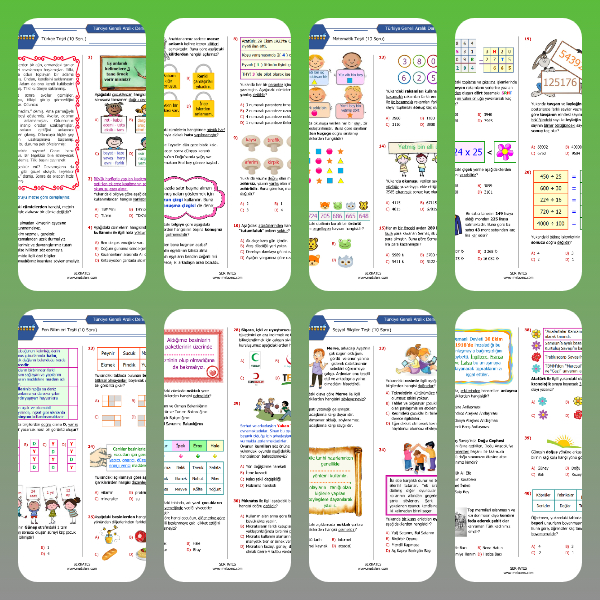 4. Sınıf Aralık Ayı Denemesi (PDF)