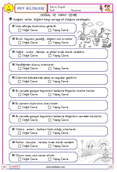 3. Sınıf Fen Bilimleri Doğal ve Yapay Çevre Etkinliği