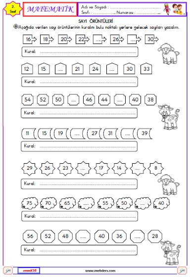 2. Sınıf Matematik Sayı Örüntüleri Etkinliği 1