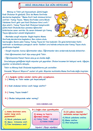 2.Sınıf Türkçe Kedi Okulunda İlk Gün Heyecanı Okuma Anlama Metin Çalışması  2