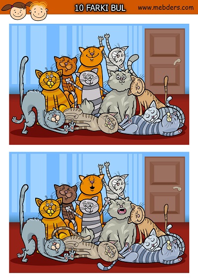 Sevimli kediler arasındaki 10 farkı bulma etkinliği