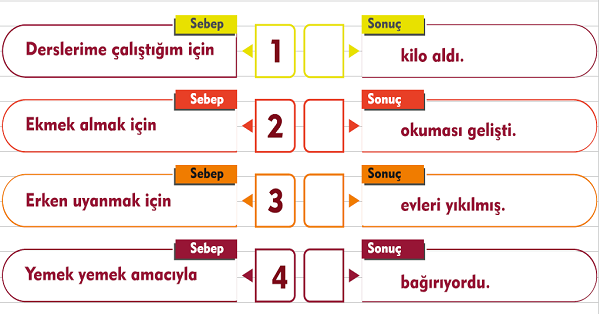 2.Sınıf Türkçe Sebep Sonuç Cümleleri Etkinliği