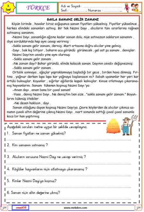 3. Sınıf Türkçe Okuma ve Anlama Metni Etkinliği (Sakla Samanı Gelir Zamanı)