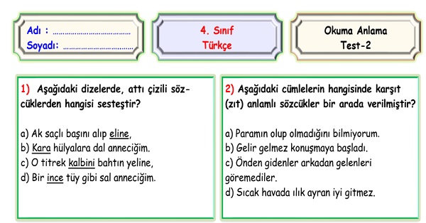 4.Sınıf Türkçe Okuma Anlama Sene Sonu Değerlendirme Testi 2