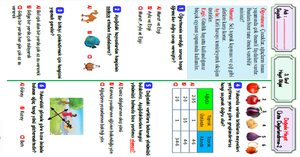 3.Sınıf Hayat Bilgisi Doğada Hayat Ünite Değerlendirme-2