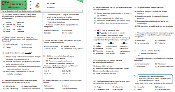 4.Sınıf Fen Bilimleri Besinlerimiz Ünite Değerlendirme Etkinliği 2