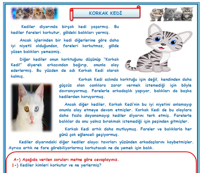 2.Sınıf Türkçe Korkak Kedi Okuma Anlama Metin Çalışması