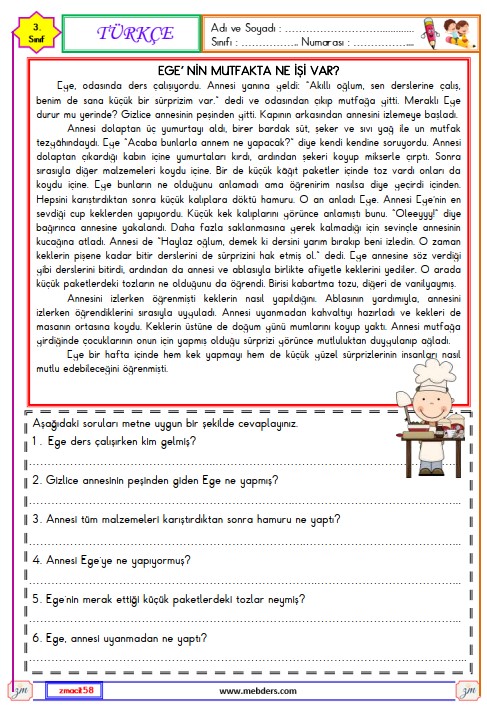 3. Sınıf Türkçe Okuma ve Anlama Metni Etkinliği 35 ( Ege'nin Mutfakta Ne İşi Var )