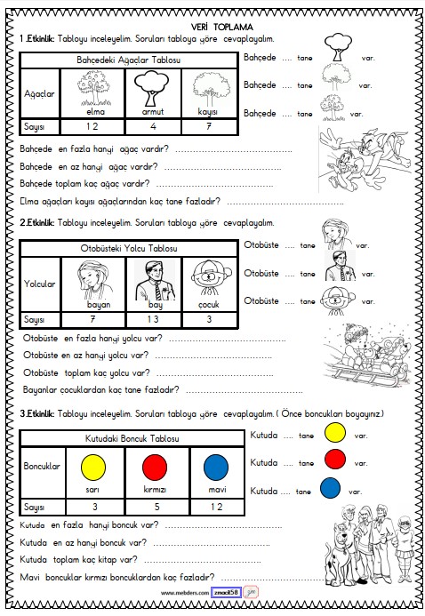1. Sınıf Matematik Veri Toplama ve Değerlendirme Etkinliği 13