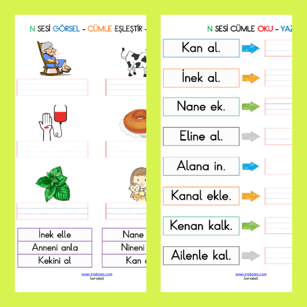 1. Sınıf İlkokuma Yazma - N Sesi Cümle Etkinliği