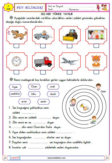 3. Sınıf Fen Bilimleri  Ses Kaynakları Etkinliği 4