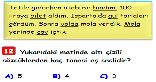 3.Sınıf Türkçe Eş Sesli Kelimeler Yaprak Test