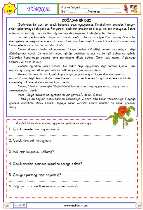 2. Sınıf Türkçe Okuma ve Anlama Metni Etkinliği 34 (Doğadan Bir Ders)